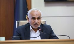 صید پشه آئدس در ۵ استان/ پشه جنوب بیماری زا تر