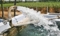 هزینه برق مصرفی کشاورزان رایگان میشود