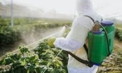 کشف بیش از ۱۰۰۰ لیتر سموم دفع آفات کشاورزی قاچاق در الیگودرز