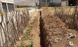آغاز عملیات اجرایی پروژه توسعه FTTH در کوی فرهنگیان شهرستان سلسله