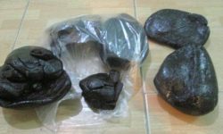 دستگیری سوداگران مرگ و کشف مواد مخدر در کوهدشت