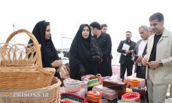 پرداخت ۲۴۰ میلیارد ریال بابت دستمزد اشتغال به زندانیان