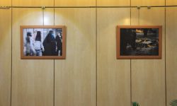 افتتاح نمایشگاه عکس «شور عاشورایی» در خرم‌آباد