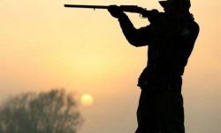 دستگیری ۳ شکارچی متخلف