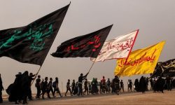 جهانی شدن اربعین مستلزم تولیدات با محتوای ادبی است