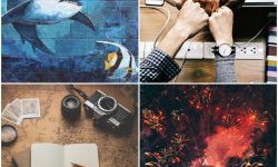 بهترین سایتهای دانلود رایگان عکس