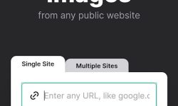 دانلود تمام عکس های یک سایت به صورت یک‌جا