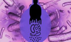 باکتری هایی که به کارخانه تولید پلاستیک زیستی تبدیل می شوند