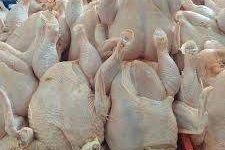 کشف بیش از ۶ تن مرغ خارج از شبکه توزیع در بروجرد 