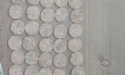 کشف ۵۷ سکه تقلبی در شهرستان چگنی