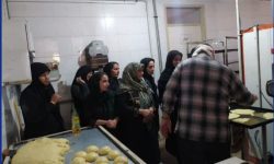 کارگاه عملی نان های حجیم ونیمه حجیم برای زنان سرپرست خانوار در مناطق کمتر توسعه یافته