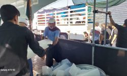 توزیع روزانه ۴ هزار صبحانه در موکب اوقاف لرستان