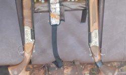 دستگیری شبانه یک گروه متخلف محیط زیستی در رومشکان