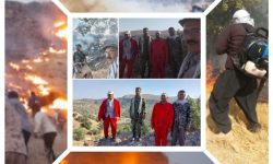 آتش سوزی در سطح جنگل ها و مراتع استان در ۱۱ نقطه متفاوت