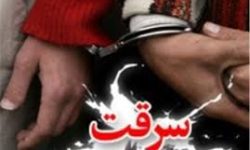 کشف ۳۰ فقره سرقت موبایل و کیف قاپی در خرم آباد 