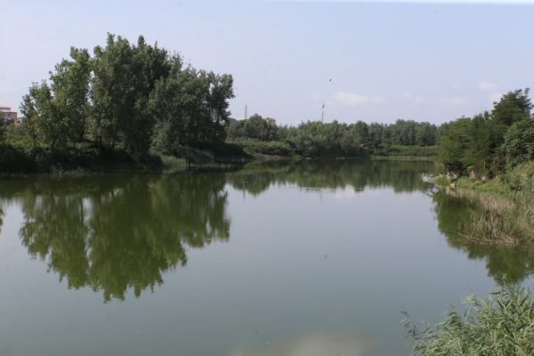 بستر ۳ تالاب لرستان مشخص شد؛ احیای تالابها در گرو تأمین حقآبه