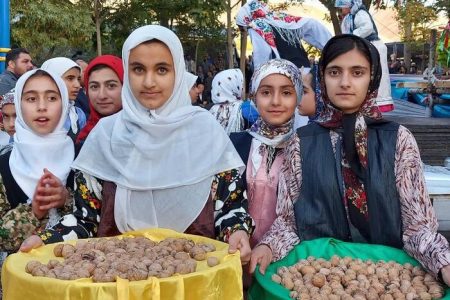 طلای سبز لرستان؛ به نام باغدار به کام دلال