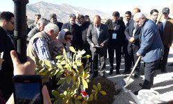 کاشت نهال توسط اعضای مجمع شهرداران آسیایی در پارک «ملل» خرم‌آباد