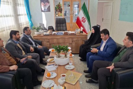 اتصال منازل و کسب و کار ها به شبکه فیبرنوری و پروژه پایش تصویری در سلسه در دستور کار