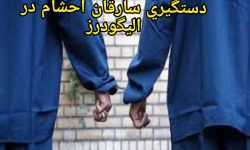 دستگیری سارقان احشام و کشف ۱۷ فقره سرقت در الیگودرز 
