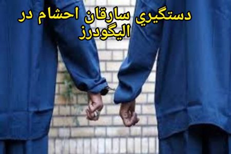 دستگیری سارقان احشام و کشف ۱۷ فقره سرقت در الیگودرز 