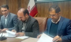 کاشت نهال در پارک ملل و کمربند سبز شرق خرم آباد