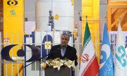 کاهش ۴۰ میلیون تن ضایعات محصولات کشاورزی از طریق پرتودهی