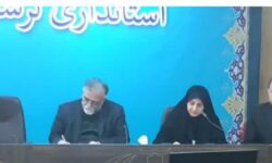 تحقق اهداف قانون جوانی جمعیت مستلزم ابزارها و سیاست‌های رایج است