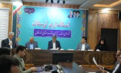 تصویب پرداخت ۲۵۰ میلیارد تومان تسهیلات به طرح‌های توسعه‌ای