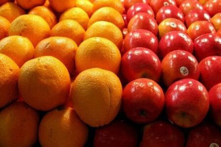 ذخیره سازی ۲۰ هزارتن سیب و پرتقال دراستان ها