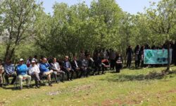 حفاظت از محیط زیست نیازمند آموزش به کودکان است