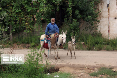 آغاز ثبت نام برخط بیمه سلامت روستاییان/اختصاص کالابرگ فقط برای سه دهک اول