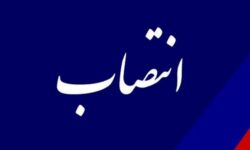 آن چند زن