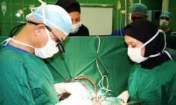 خیرانی که لبخند خیرات می‌کنند