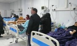مسمومیت ۱۹ نفر به علت مصرف قارچی سمی در لرستان