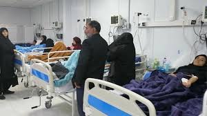 مسمومیت ۱۹ نفر به علت مصرف قارچی سمی در لرستان