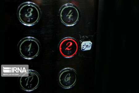 چندهمسری در واقعیت