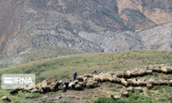 اتمام فرآیند ممیزی مراتع لرستان