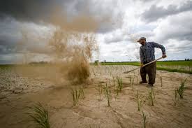 پیش‌بینی پرداخت یک همت غرامت به کشاورزان لرستانی
