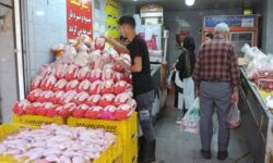 تولید و توزیع پایدار یک هزار و ۸۳۸ تن گوشت مرغ گرم طی هفته دوم اسفند ماه