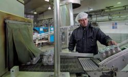 کمبود نیروی کار متخصص، نتیجه گسست میان آموزش و صنعت