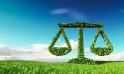 صدور حکم سبز برای یک متخلف محیط زیستی در پلدختر