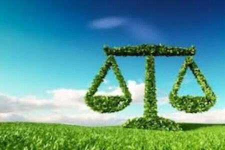 صدور حکم سبز برای یک متخلف محیط زیستی در پلدختر