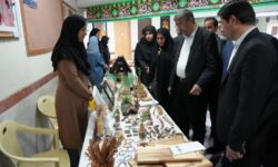 حمایت از معلولان لرستانی از محل اعتبارات استانی