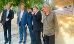 ۸۰ درصد گندم زیر کشت شهرستان برداشت شده است
