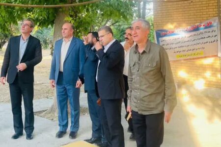 ۸۰ درصد گندم زیر کشت شهرستان برداشت شده است