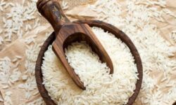 قیمت برنج شمال تا ۲۰ درصد کاهش یافت