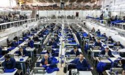 طرح کمیته امداد برای جایگزینی مجازات حبس مددجویان