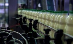 افزایش چراغ خاموش قیمت لبنیات