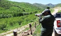 محیط‌بانان و جنگل‌بانان ضابط خاص دستگاه قضایی